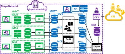 Scalable radiotherapy data curation infrastructure for deep-learning based autosegmentation of organs-at-risk: A case study in head and neck cancer